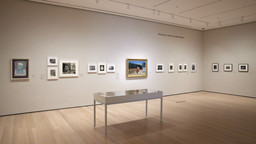 Installation photo, 9 of 9