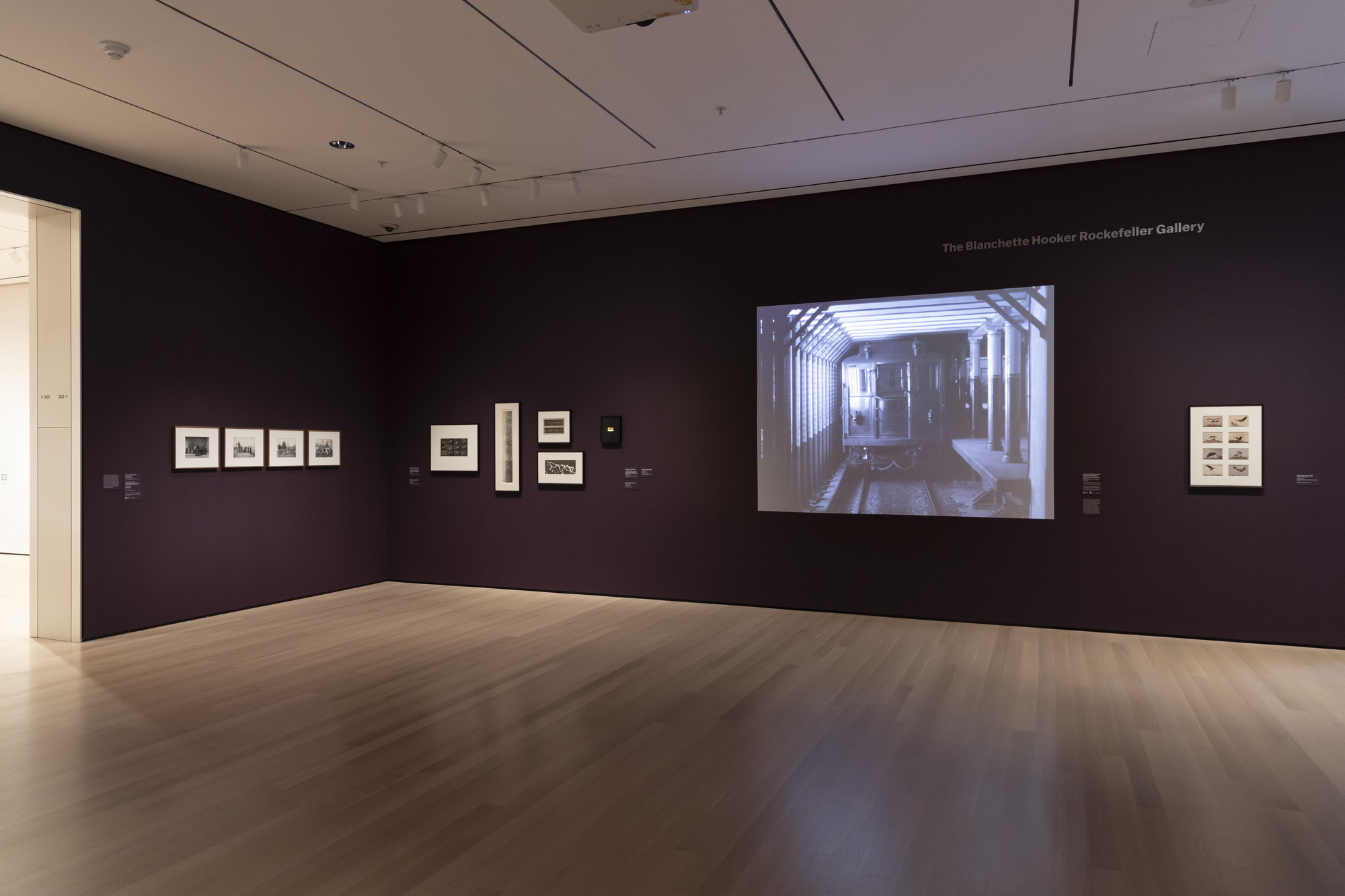 Installation view of the gallery "Early Photography and Film" in the