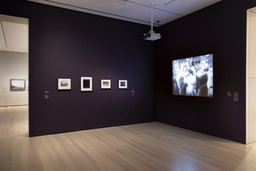 Installation photo, 5 of 5