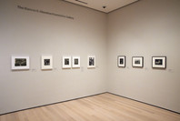 520: Picturing America. Fall 2019–Spring 2022. 7 other works identified
