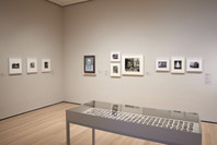 520: Picturing America. Fall 2019–Spring 2022. 10 other works identified