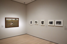 Installation photo, 5 of 9