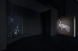 Installation photo, 8 of 9
