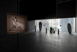 Installation photo, 9 of 9