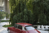 Automania. Jul 4, 2021–Jan 3, 2022.