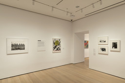 Installation photo, 12 of 53
