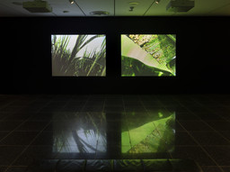 Installation photo, 14 of 19