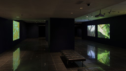Installation photo, 16 of 19
