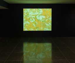 Installation photo, 17 of 19