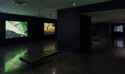Installation photo, 19 of 19