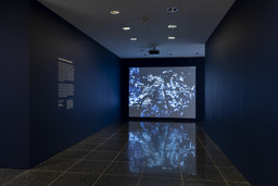 Installation photo, 2 of 19
