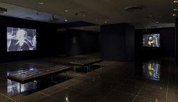 Installation photo, 8 of 19