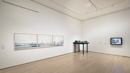 Installation photo, 1 of 17
