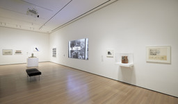 Installation photo, 6 of 17