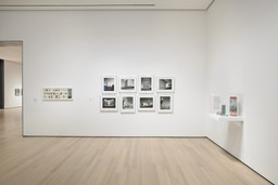 Installation photo, 9 of 17