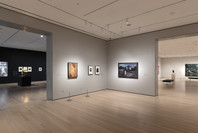 502: Lillie P. Bliss . Fall 2021 - Spring 2023. 4 other works identified
