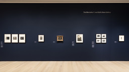 Installation photo, 10 of 11