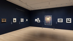 Installation photo, 3 of 11