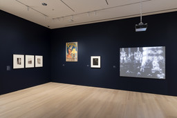 Installation photo, 6 of 11