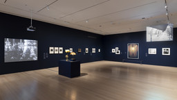 Installation photo, 7 of 11