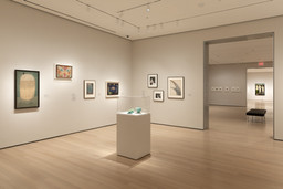 Installation photo, 5 of 16