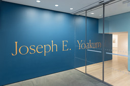 Installation photo, 1 of 35