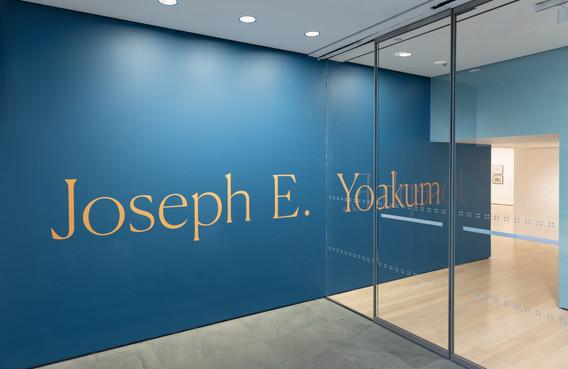 Joseph E. Yoakum: What I Saw | MoMA