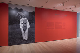 Installation photo, 1 of 108