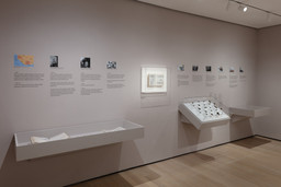Installation photo, 11 of 29