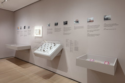 Installation photo, 14 of 29