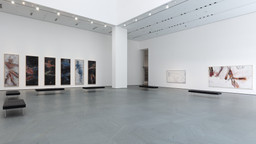 Installation photo, 4 of 8