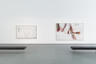 Susan Rothenberg. Apr 15–Jun 12, 2022. 1 other work identified