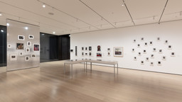 Installation photo, 5 of 25