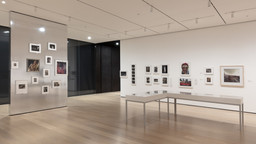 Installation photo, 6 of 25