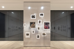 Installation photo, 9 of 25
