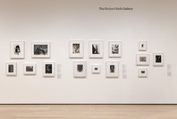 Our Selves: Photographs by Women Artists from Helen Kornblum. Through Oct 10. 13 other works identified