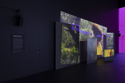 Installation photo, 1 of 50