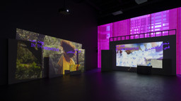 Installation photo, 2 of 50