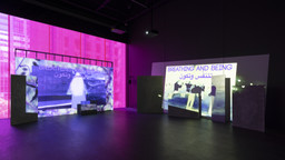 Installation photo, 9 of 50