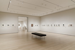 Installation photo, 8 of 11