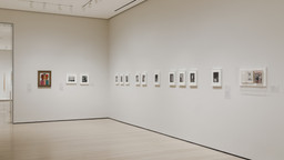 Installation photo, 10 of 11