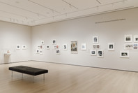 520: Documenting Rural American Life. Spring 2022 - Spring 2023. 12 other works identified