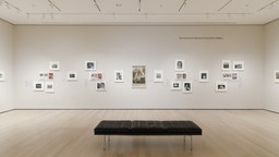 Installation photo, 4 of 11