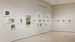 Installation photo, 5 of 11