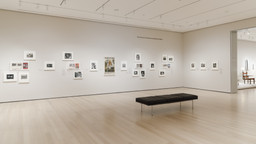 Installation photo, 6 of 11