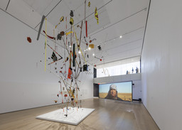 Installation photo, 6 of 17