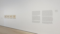 Installation photo, 9 of 17