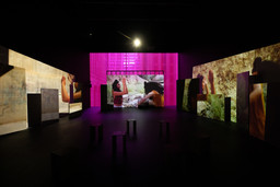Installation photo, 18 of 50