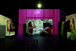 Installation photo, 19 of 50