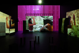 Installation photo, 22 of 50